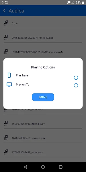 Screen Mirroring Screenshot 1