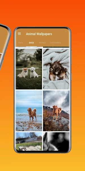 Animal Wallpapers Walpaper App screenshot 2
