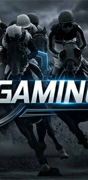 Totogaming Screenshot 2