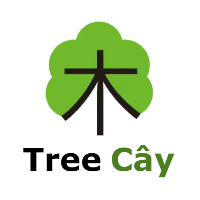 Flashcard Chinese Vocabulary