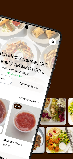 Ali Baba Mediterranean Grill Screenshot 1