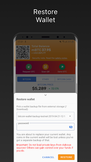 Bitcoin Testnet Wallet Screenshot 2