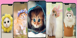 GIRLY Wallpapers Screenshot 3