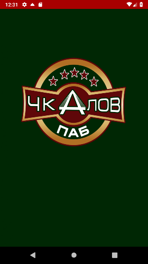 ЧкаловПаб Screenshot 0