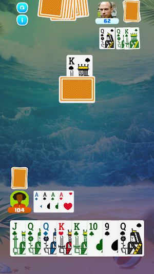 Pinochle Card Game 2-Players Screenshot 0