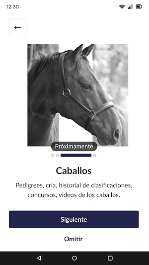 The Horses House Screenshot 1