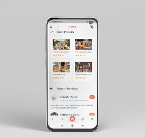 INDRA RESTO Screenshot 3