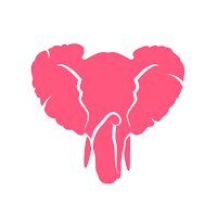 The Ivory App