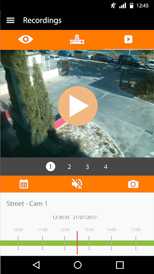 Tiger Security EasyView Screenshot 2
