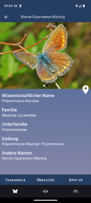 Schmetterling Id - Tagfalter Screenshot 1