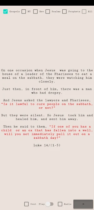 NRSVCE Bible Verses Screenshot 1