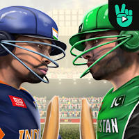 Vildy Cricket 3D: Full Version
