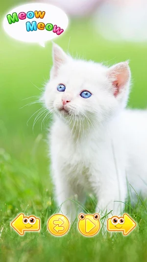 Cute animal pictures & animal sounds / noises Screenshot 0