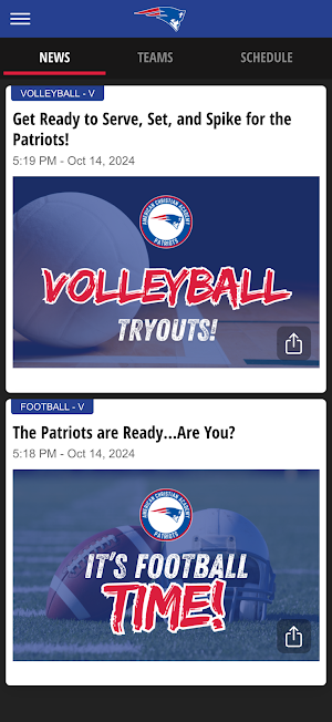ACA Patriots Screenshot 1