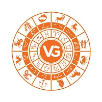 VG Partner