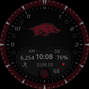 Arkansas Razorbacks Premium Screenshot 3