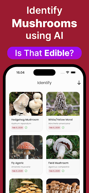 Mushroom ID: AI Identifier Screenshot 0