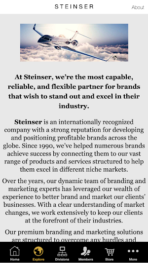 Steinser Group Screenshot 1