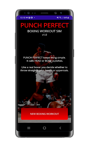 Punch Perfect: Boxing Workouts Screenshot 2