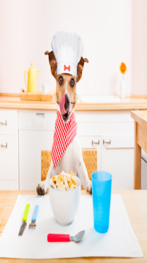 Dog Food Recipes Screenshot 2