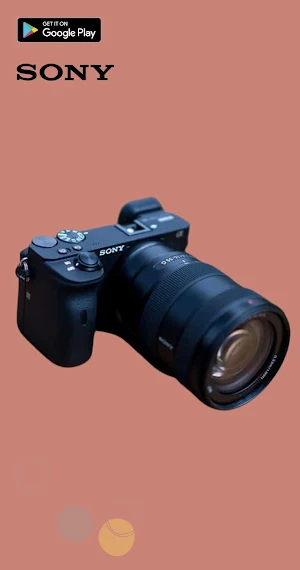 Sony Alpha 6600 Guide Screenshot 3
