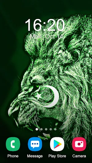 Pakistan Flag Wallpaper 2024 Screenshot 2