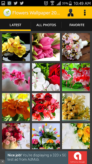 Flowers Wallpaper 2016 Screenshot 0
