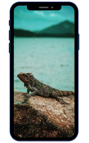 Lizard Wallpapers Screenshot 0