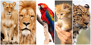 Animals Wallpaper HD Screenshot 1