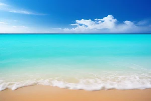 Paradise Travel App Screenshot 3