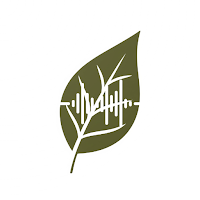 Nature Sounds