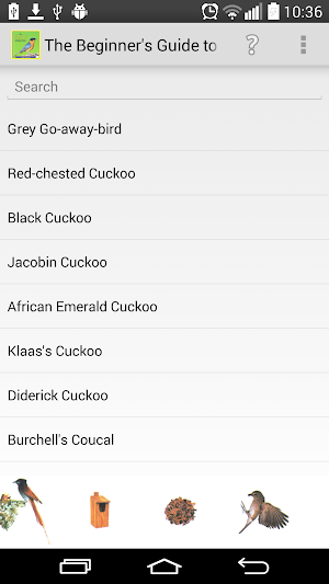 Beginner's Guide to Bird Calls Screenshot 0