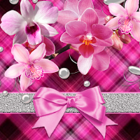 Orchids Theme