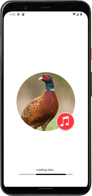 Pheasant Sounds Screenshot 0
