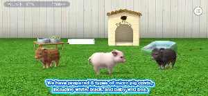 My micro pig Screenshot 0