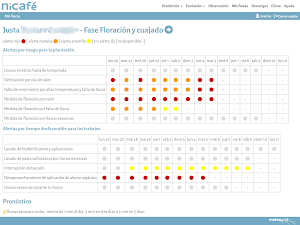 Nicafé Screenshot 2