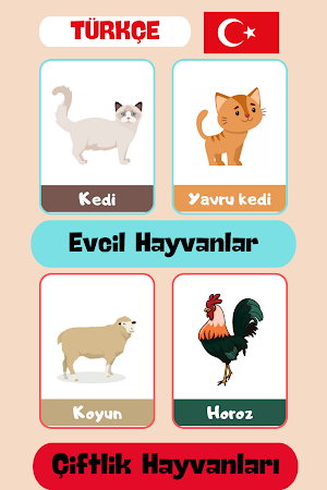 Hayvanlar Bilgi Kartları Screenshot 0