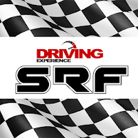 Security Race Flags / Driving 