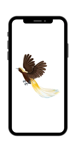 Burung Cendrawasih Wallpaper Screenshot 1