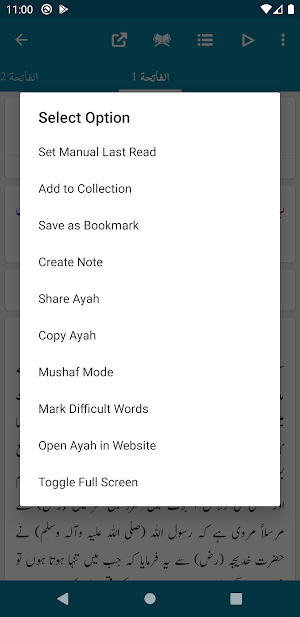 Maarif ul Quran - Maulana M. Idrees Kandhelvi Screenshot 2