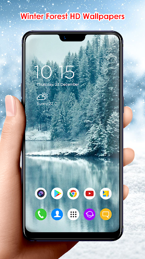 Winter Forest HD Wallpapers Screenshot 3