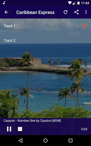 The Caribbean Channel - Live Radios! Screenshot 2