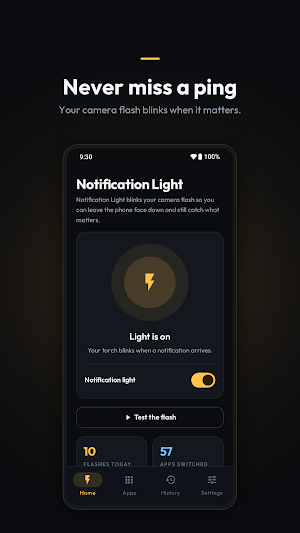 Notification flashlight Screenshot 0