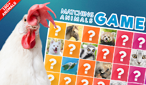 Memory Game: Animals Screenshot 0