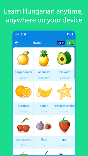 Learn Hungarian For Beginners Screenshot 0