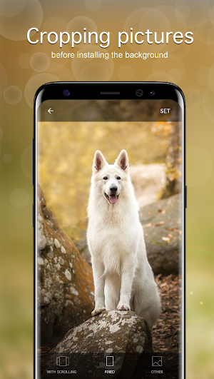 Dog Wallpapaers & Puppy Backgrounds Screenshot 2
