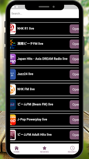 Japan Radio Stations Screenshot 1