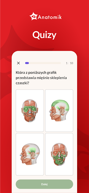 Anatomik Screenshot 3