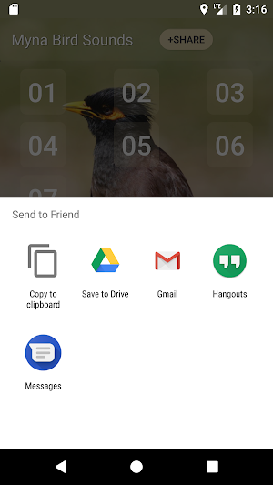 Myna Bird Sound Ringtones Screenshot 3
