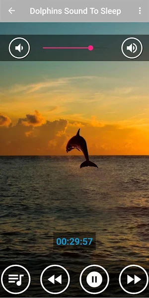 Soothing Dolphin Sounds for Stress Relief Screenshot 0